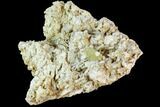 Yellow Apatite Crystal on Feldspar Matrix - Morocco #84315-1